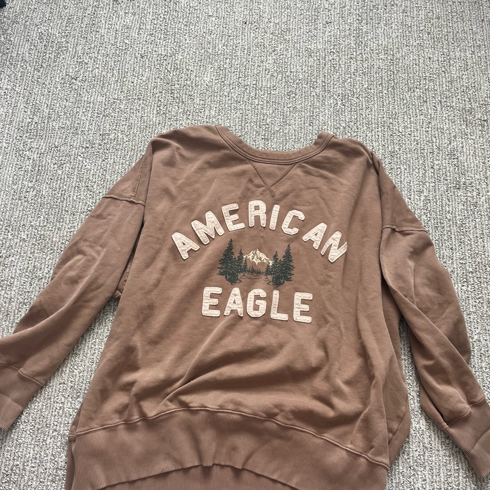 American Eagle Outfitters Brown Sweater